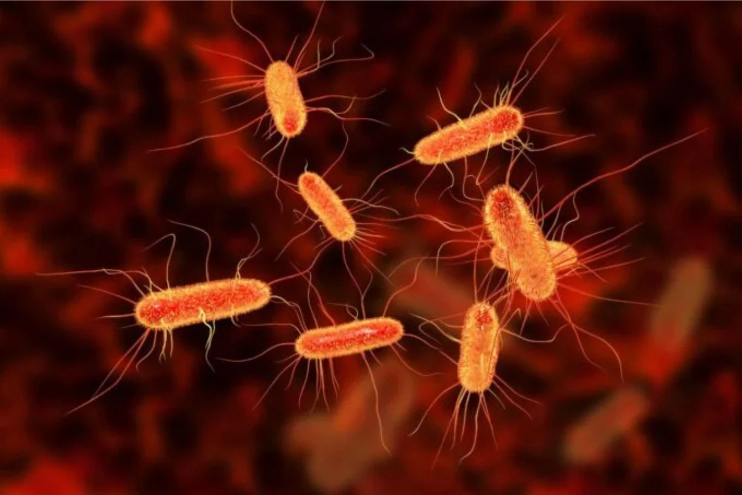 Científicos creen descubrir el por qué cada vez hay más casos de cáncer colorrectal en jóvenes