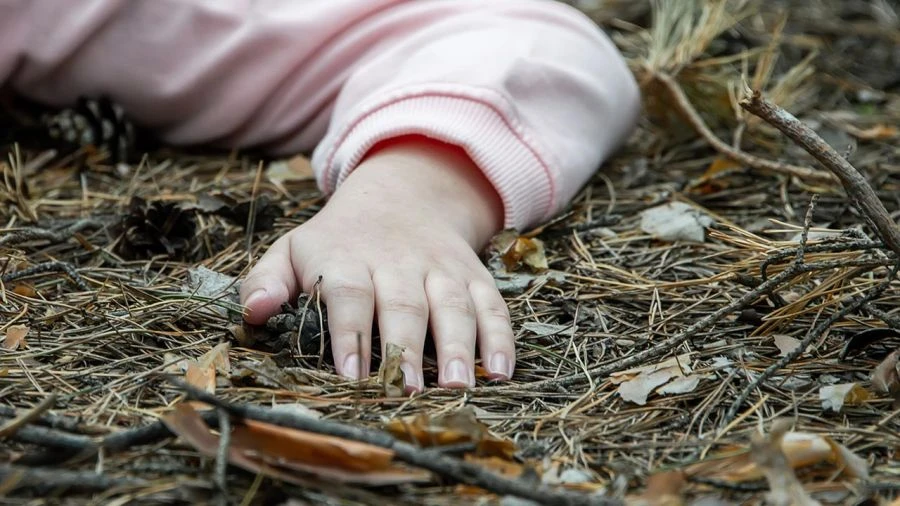 Tragiczny finał poszukiwań nastolatki. Ciało odkryto w lesie
