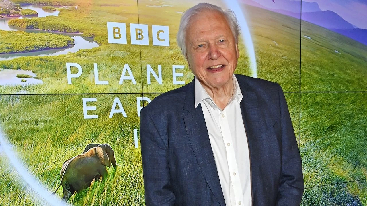 Niezwykły jak nasza planeta. David Attenborough kończy 100 lat
