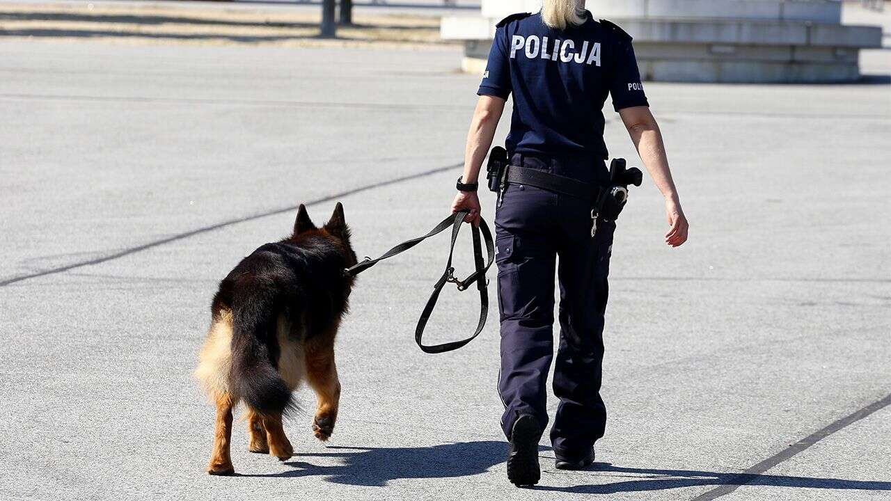 Atak nożownika w Legnicy. Jedna osoba nie żyje, trwa obława