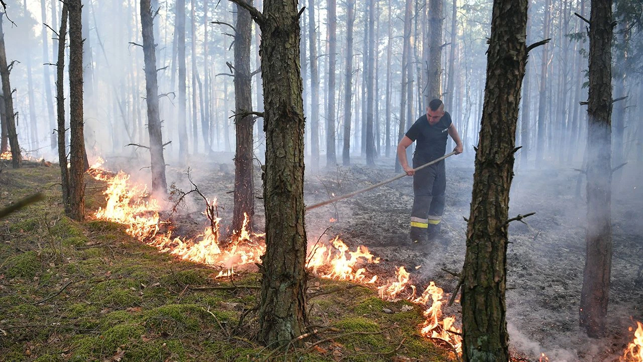 Lasy zagrożone pożarami. Sytuacja jest poważna