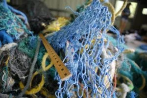 Hawaii launches hotline to report ghost fishing nets
