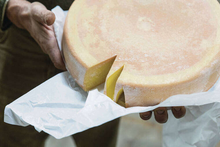 An eight-day trip explores the world of British farmhouse cheeses