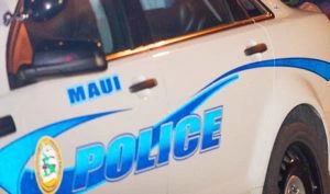 Maui police investigating after man allegedly pointed gun at county parks officer