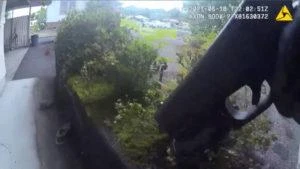 Hawaii island police release body-camera footage from fatal shooting of suspect who allegedly attacked officers with knives