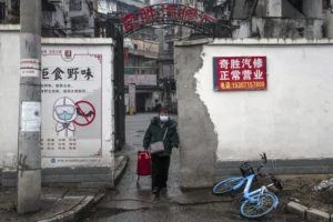 A top virologist in China, at center of a coronavirus pandemic storm, speaks out