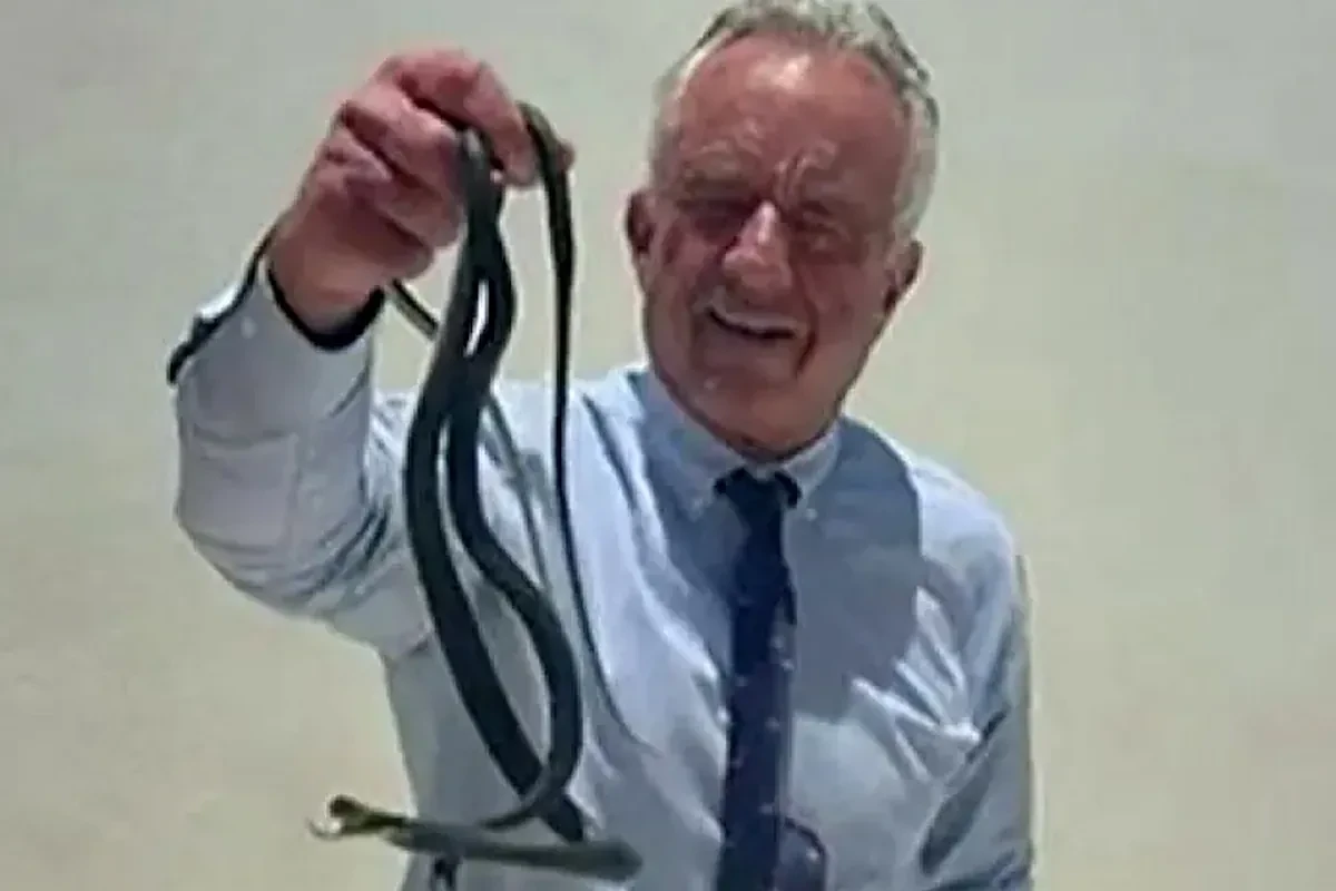 El vídeo viral del secretario de Salud de EEUU, Robert F. Kennedy Jr., manipulando una serpiente