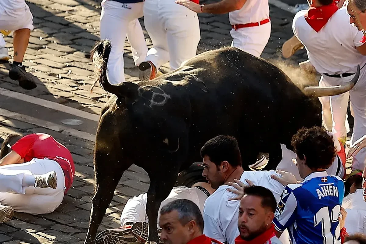 El octavo y último encierro de San Fermín con toros de Jandilla deja tres cornadas