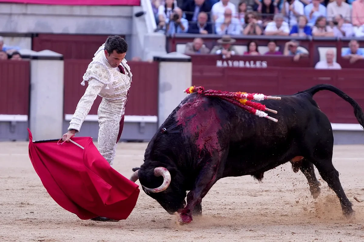 Una buena corrida, mucho corazón y mala cabeza en Las Ventas