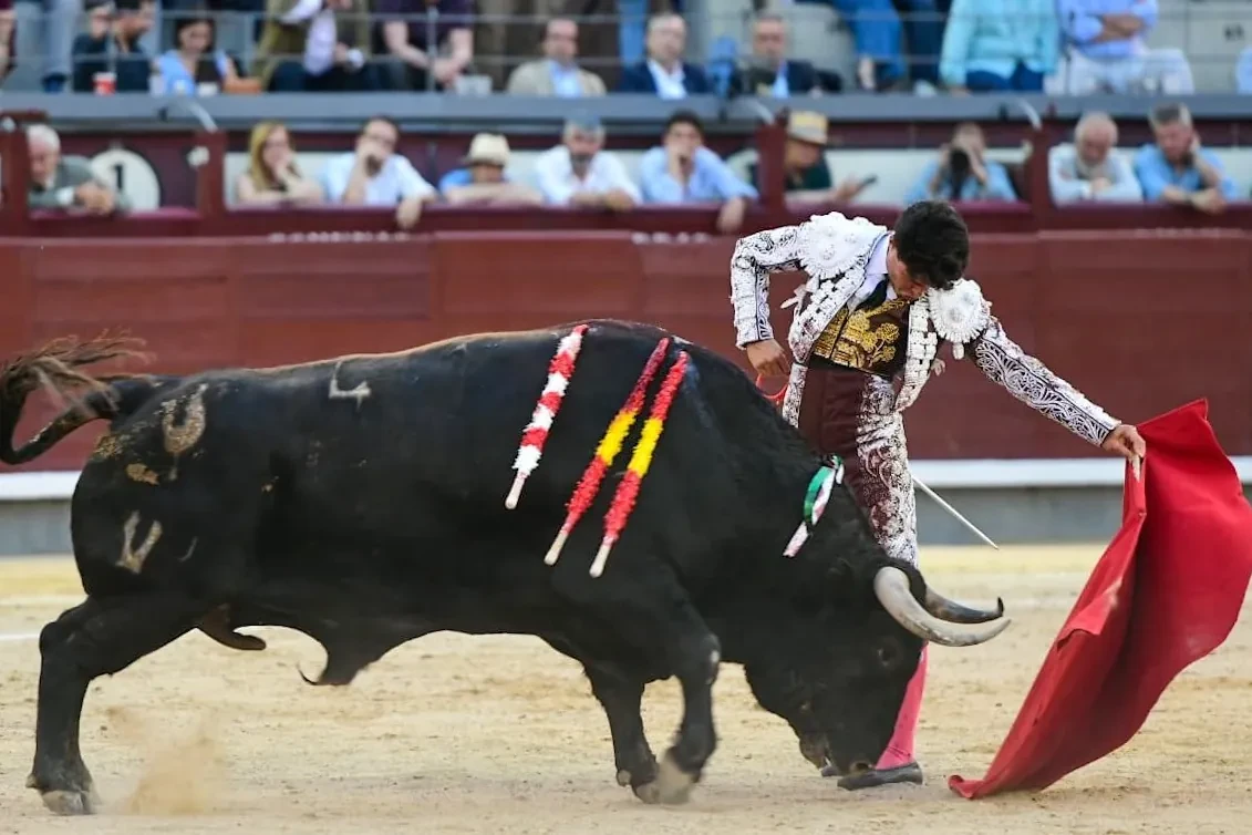 Jarocho se agiganta con una corrida brutalista de Pedraza en Las Ventas