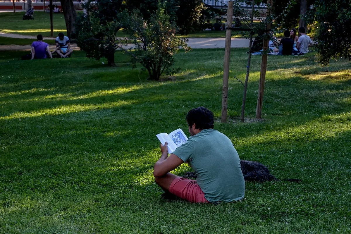 Nosotros, los abajofirmantes, esos enfermos de los libros