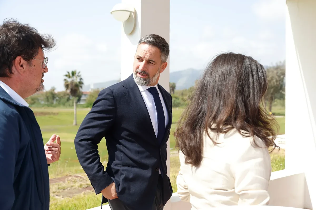 El momento crítico de Vox