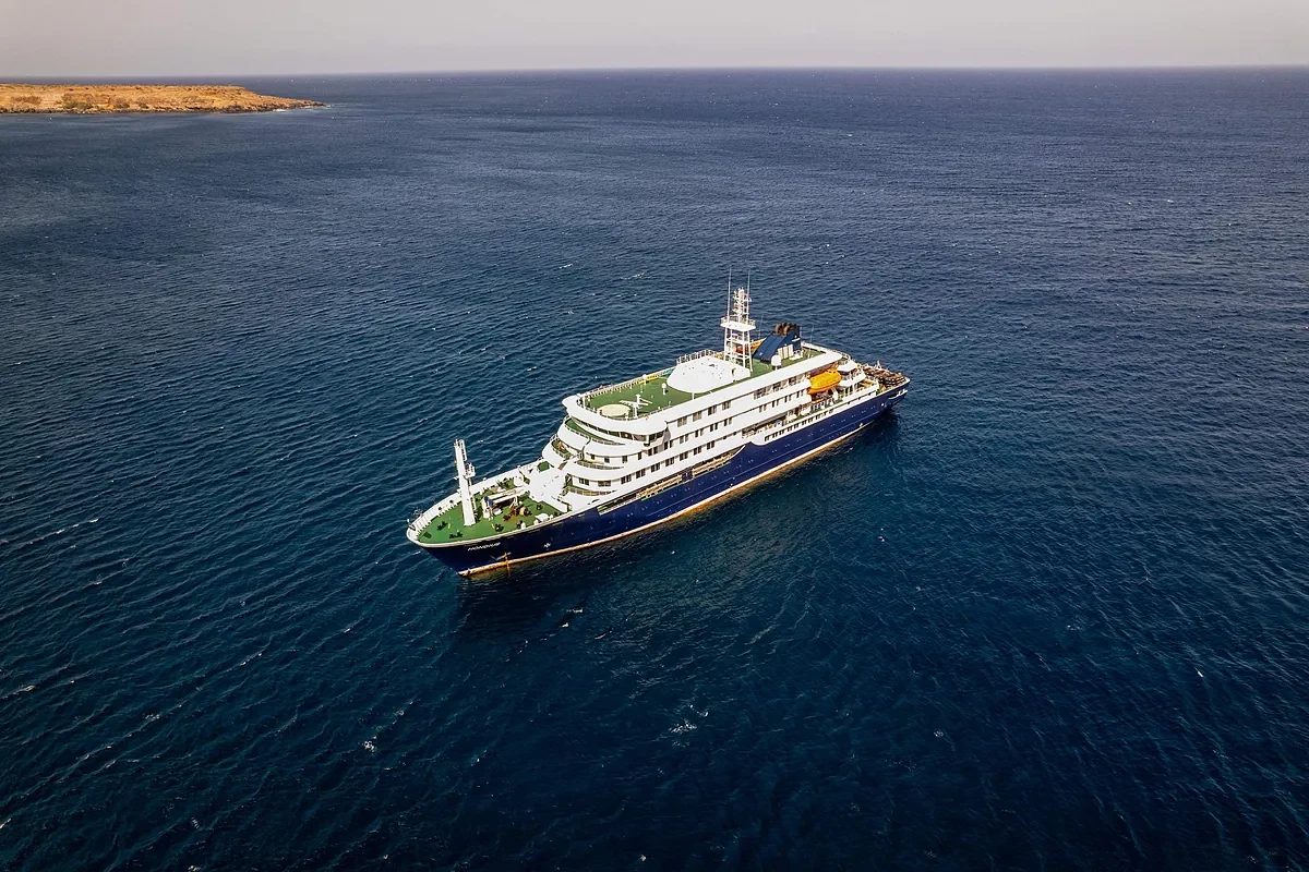 Hantavirus: qué es, cómo se contagia y cuáles son los síntomas del virus que ha provocado tres muertes en un crucero en el Atlántico
