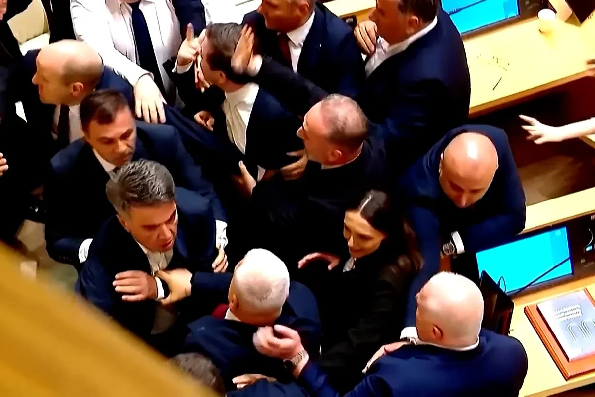 Pelea a puñetazos en el Parlamento de Georgia