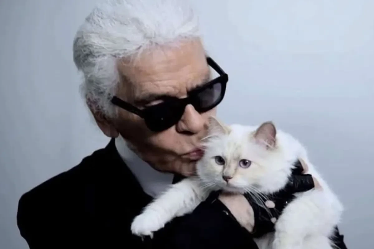Siete años después, la gata Choupette aún no ha heredado los millones de Karl Lagerfeld, aunque 