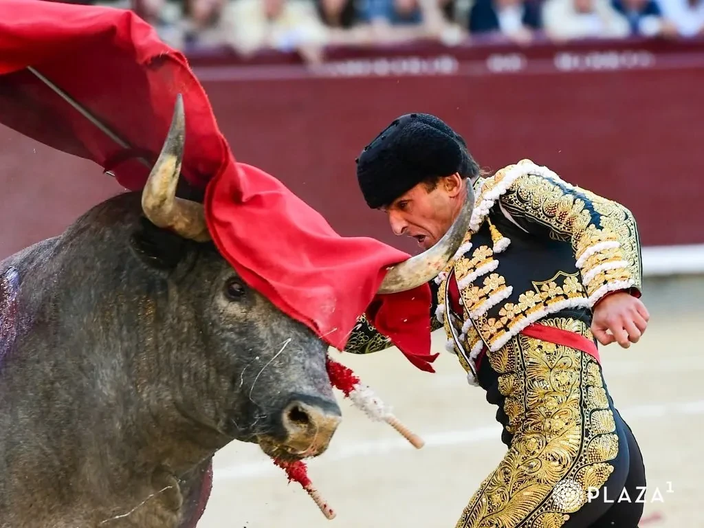 La crudísima guerra de Damián Castaño con un temible toro de Escolar en Las Ventas