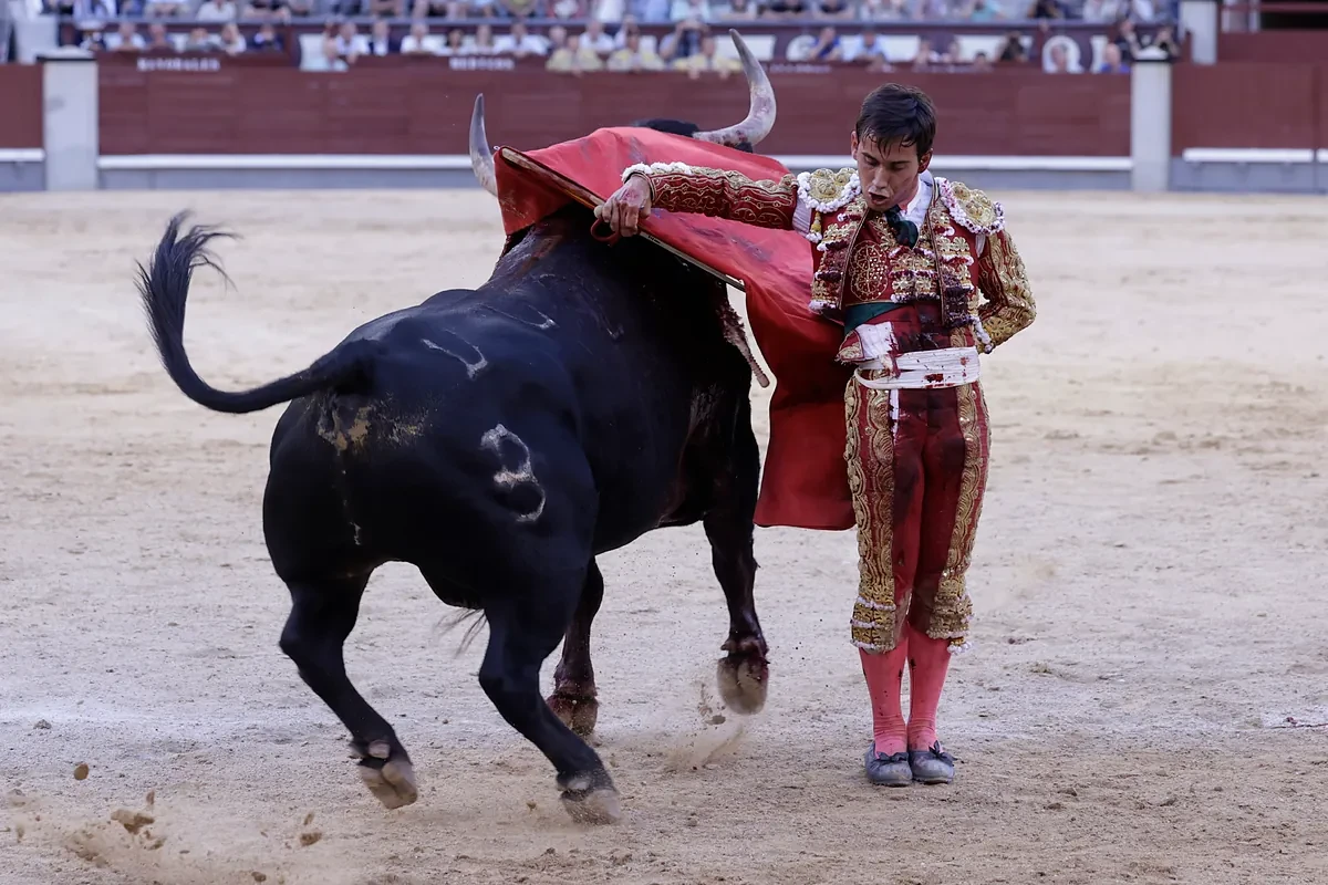 Una tarde muy rica en Las Ventas, tres toros de nota y un torero necesario: Ismael Martín