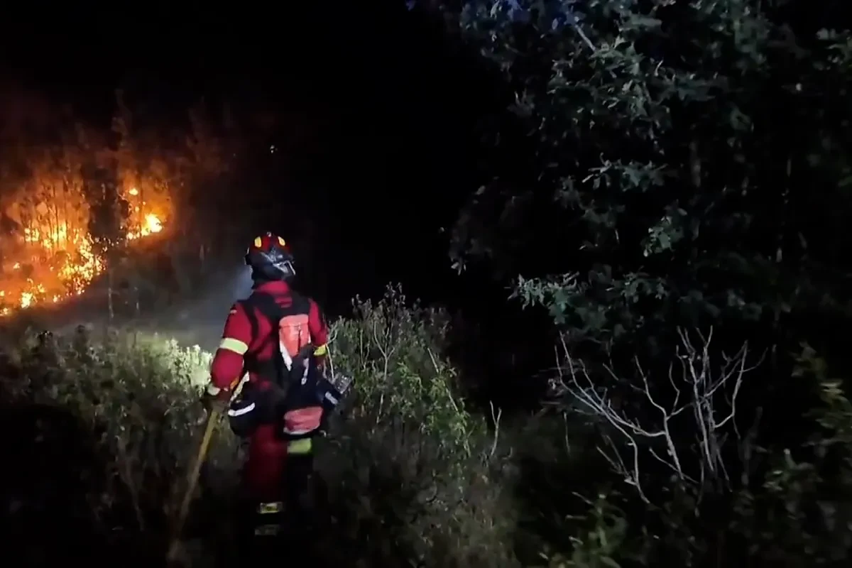 La UME trabaja sin descanso para sofocar el incendio de Selas, Guadalajara