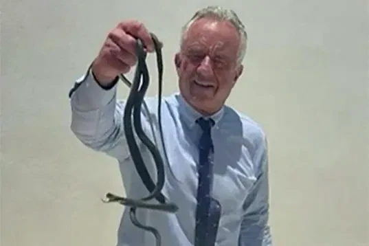 El secretario de Salud de EEUU, Robert F. Kennedy Jr., genera polémica al manipular serpientes en un video viral