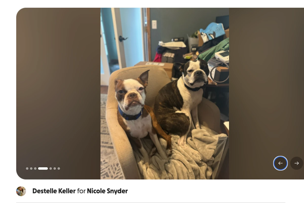 Off-duty cop shot two dogs in front of children. Now he’s suing