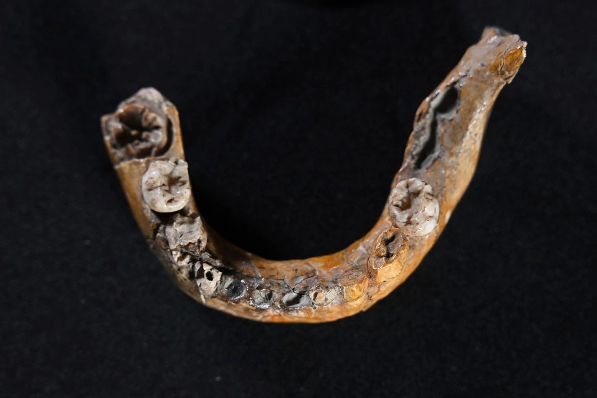 What the bones of a child reveal about human and Neanderthal mixing