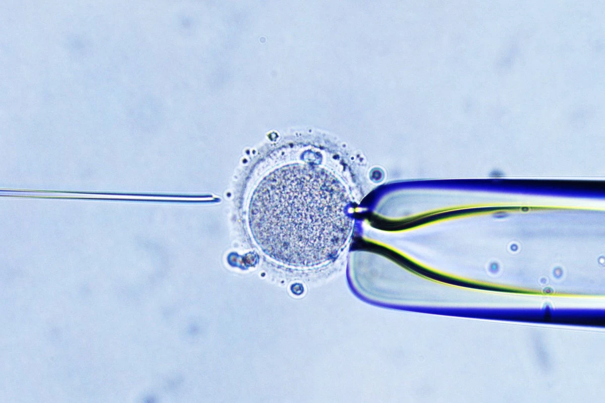 Woman gives birth to stranger’s baby after embryo mixup at clinic