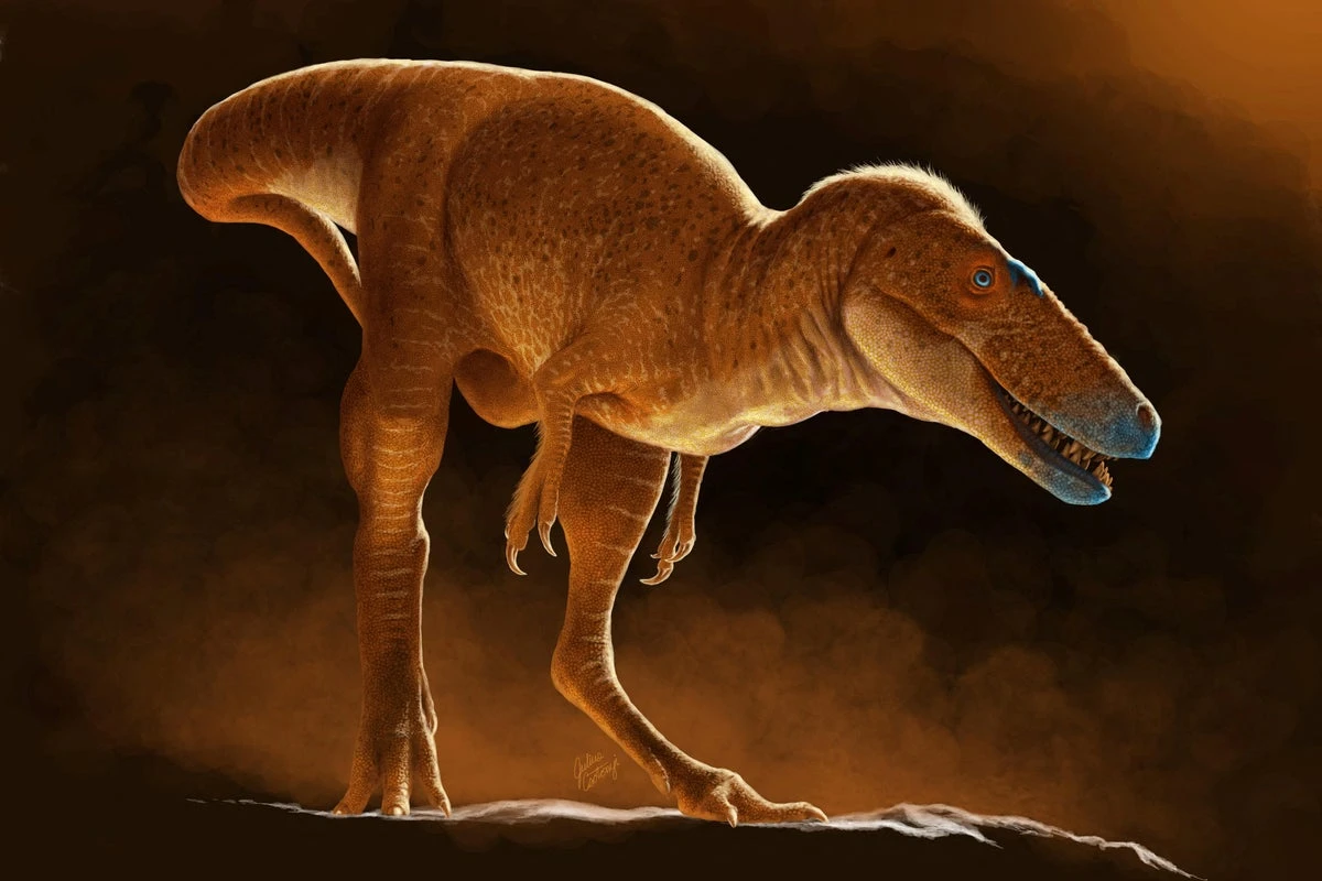 Newly discovered ‘Dragon Prince’ dinosaur is forerunner of T rex