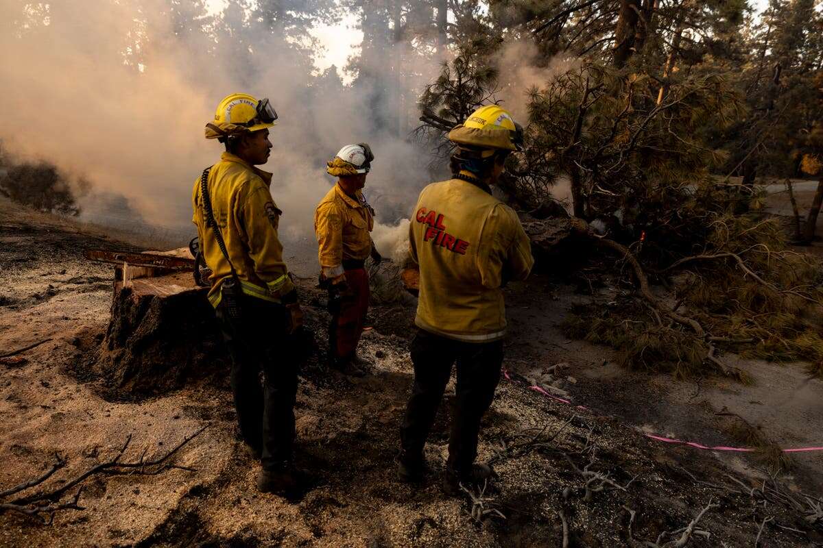 California fire union slams Trump for threatening to withhold funding