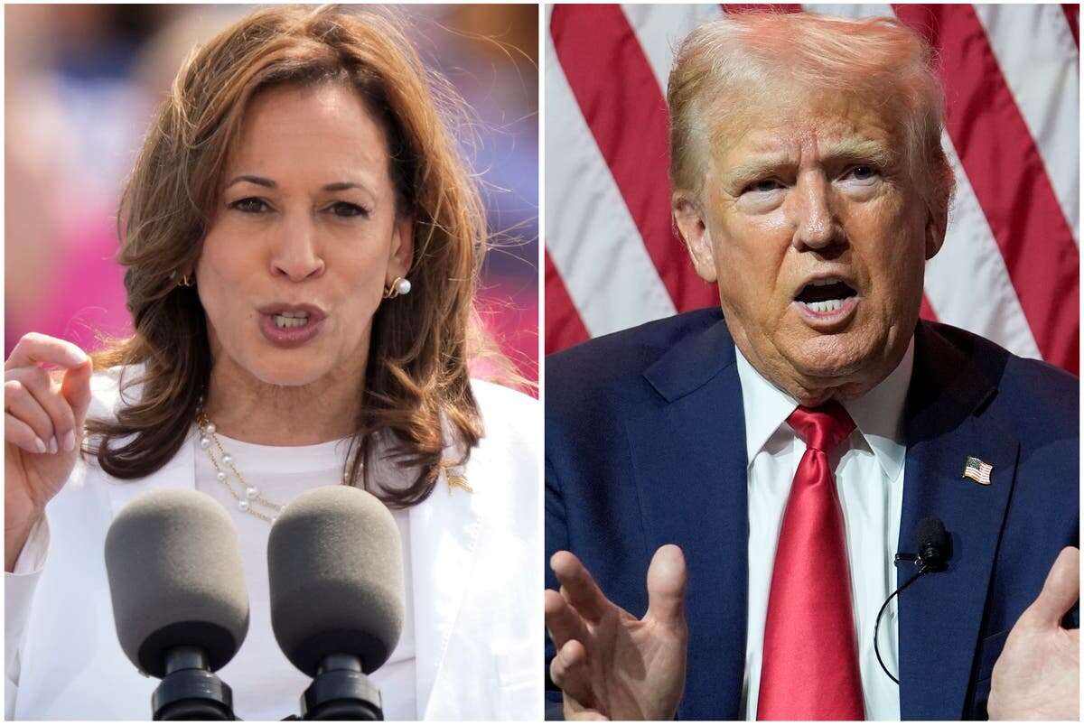 ‘Nothing persuades anyone’: Trump and Harris insiders get candid