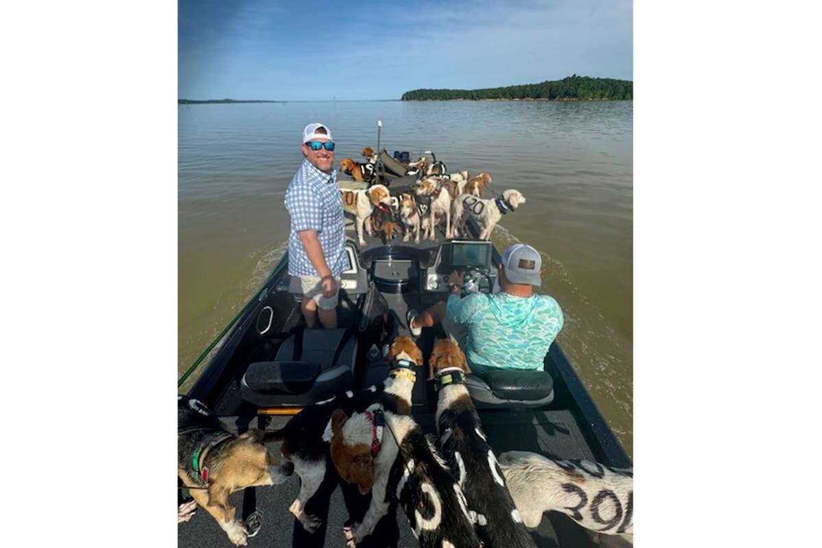 Fishermen rescue 38 dogs they find treading water in Mississippi lake