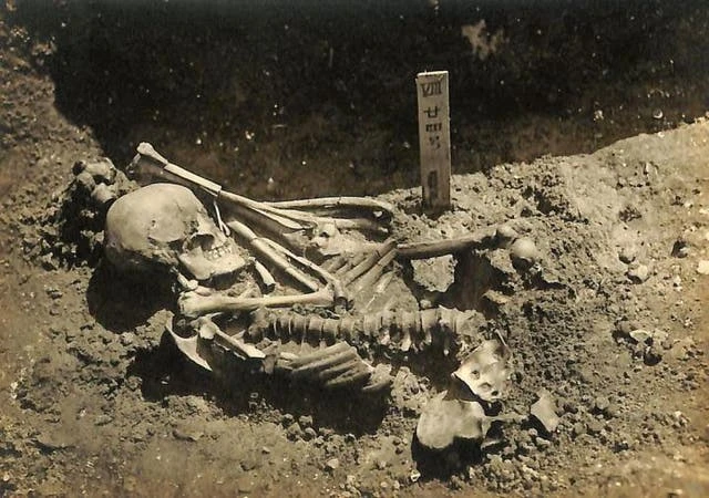 Man who died 3000 years ago found to be earliest shark attack victim