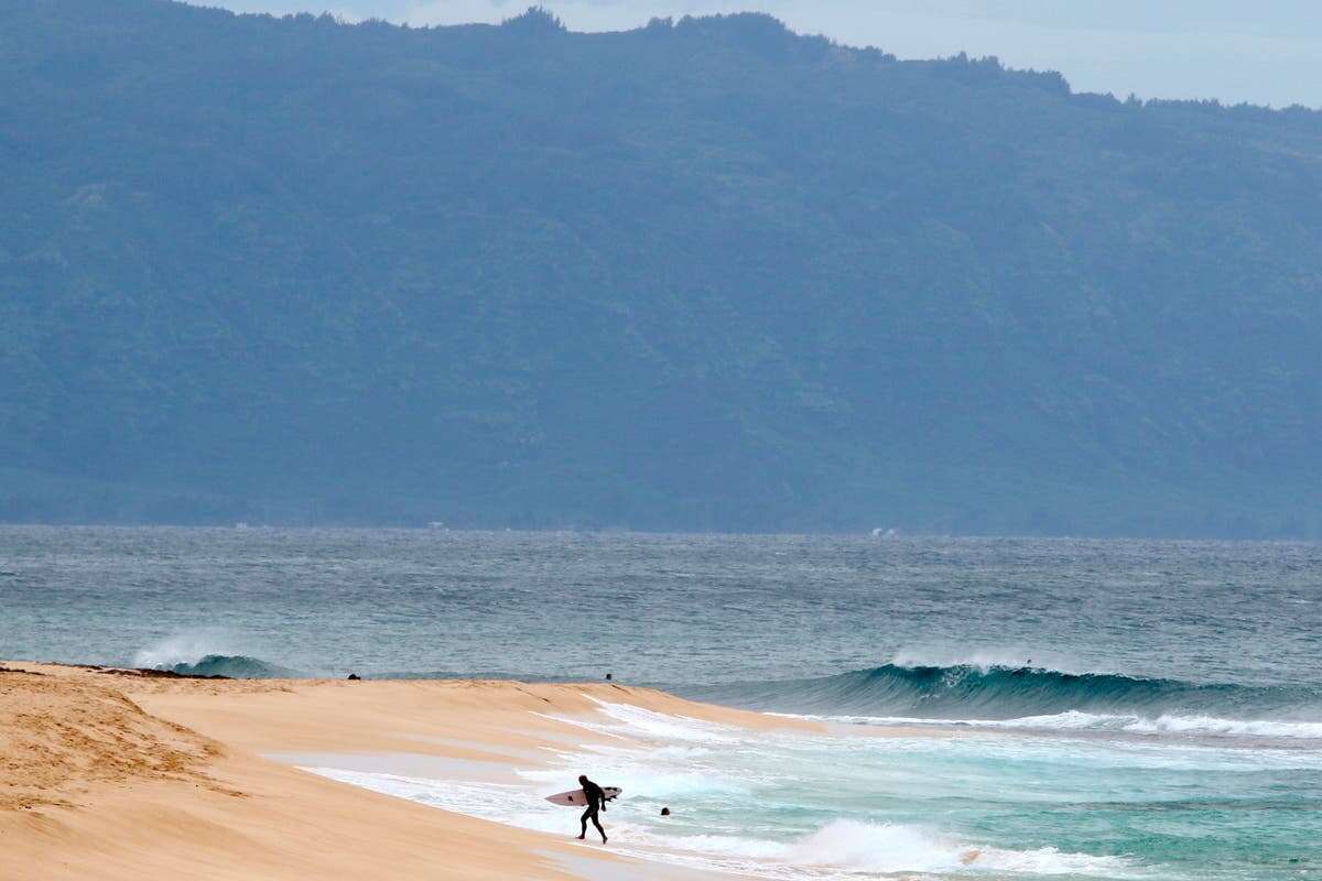 Shark bites off leg of 61-year-old surfer