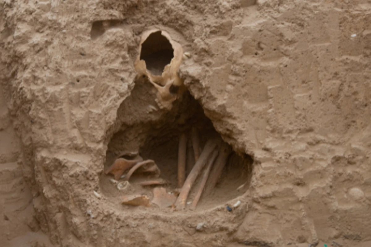 The surprising discovery made from 10,000-year-old teeth