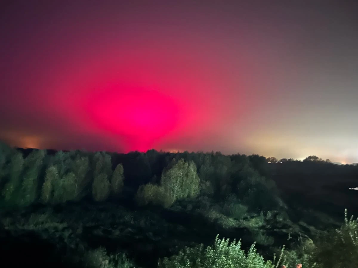 Woman mistakes local tomato factory glow for ‘northern lights’