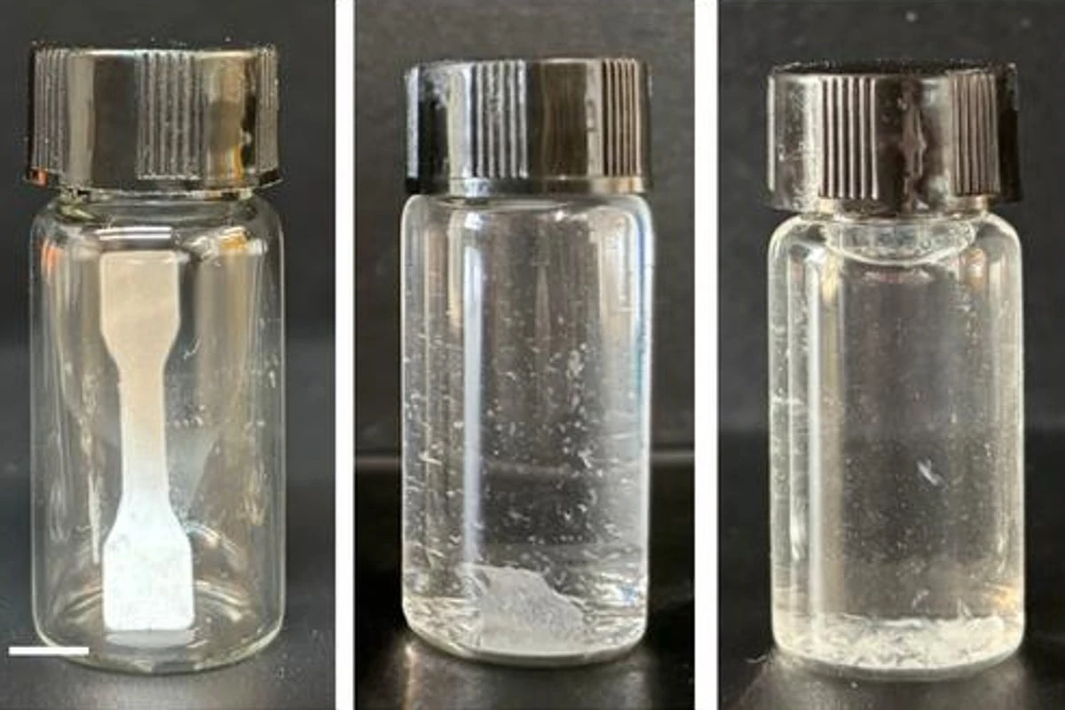 Chinese scientists create self-destructing ‘living plastic’