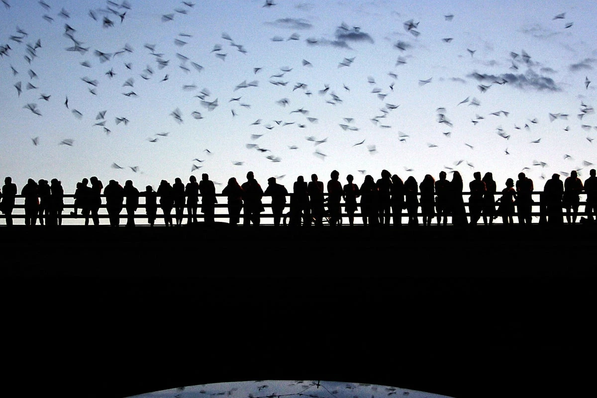 What goes ‘bump’ in the night is helping to ensure humanity’s survival