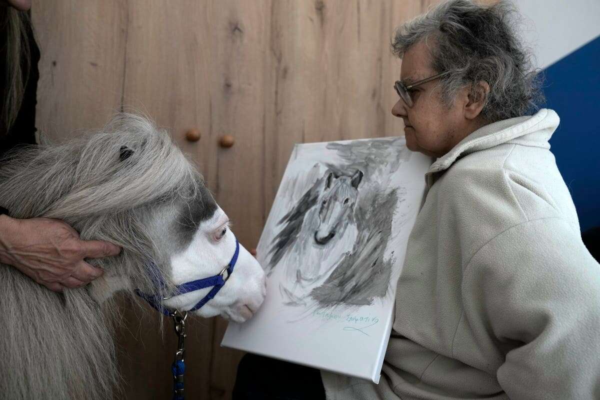 Greece’s therapy horses bring joy to many – but for how much longer?