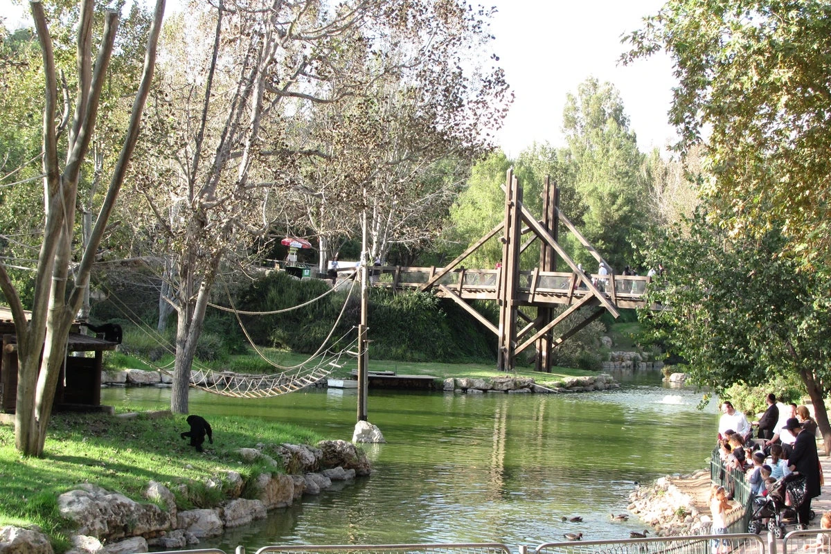 Zoo worker mauled to death by tiger that escaped its enclosure