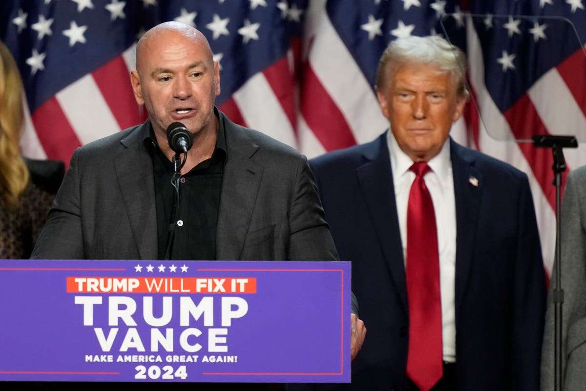 Meta adds Trump ally and UFC president Dana White to board