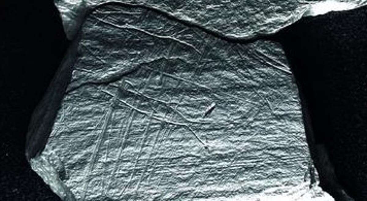 Nearly 16K-year-old engravings shed light on ancient European society