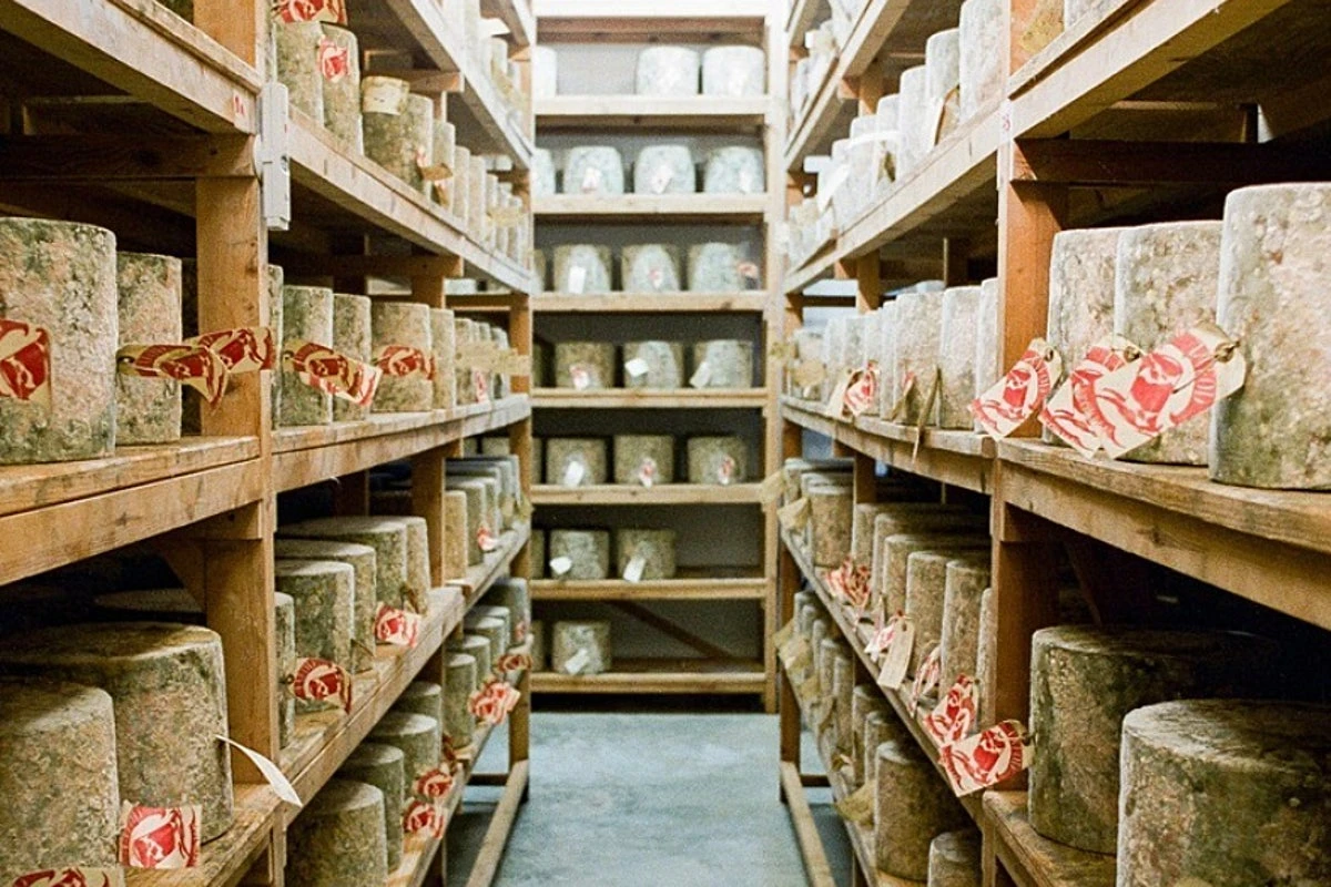 Police make further arrests in Neal’s Yard Dairy cheese robbery