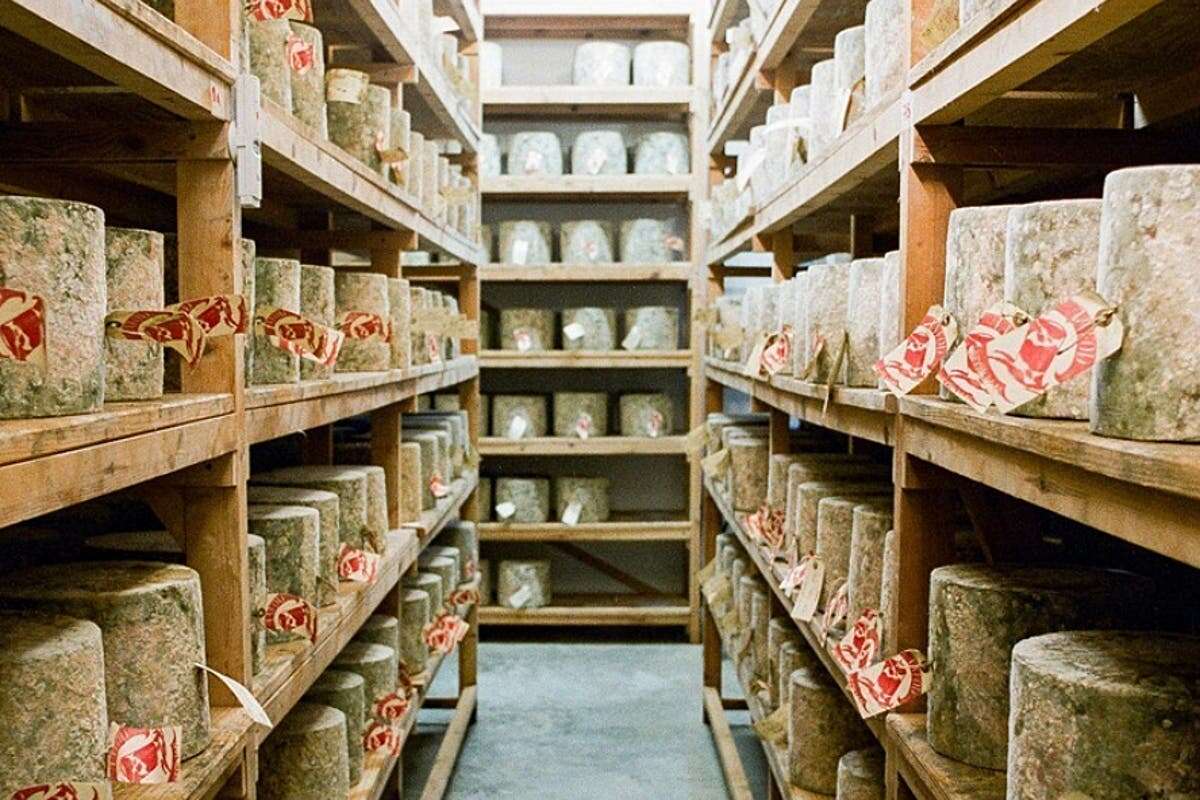 Man arrested after 22 tonnes of cheese stolen from London dairy