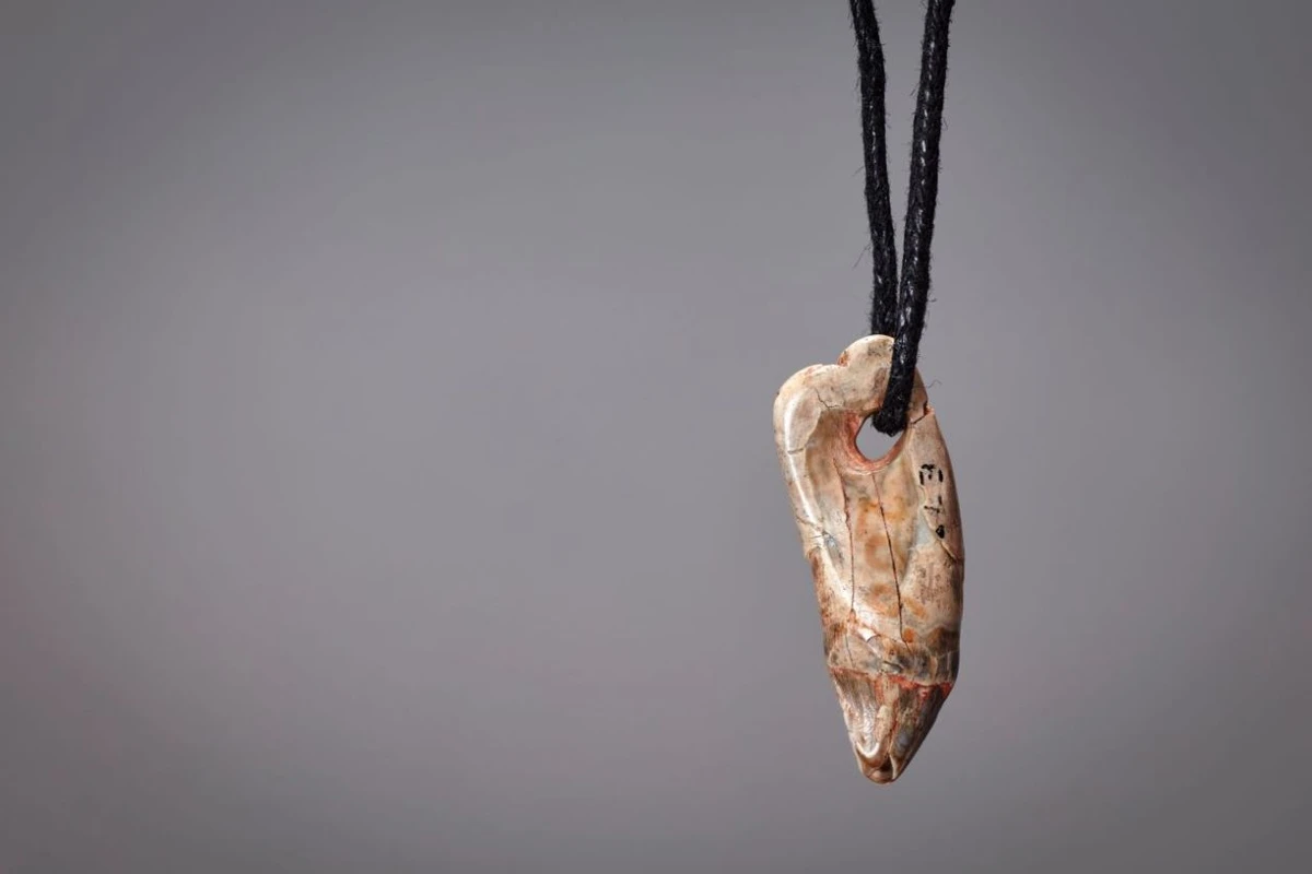 What15,0000-year-old jewellery tells us about prehistoric life