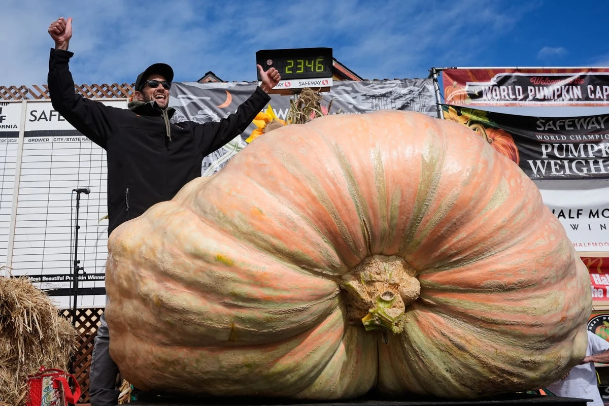 Dad wins $20K for growing stunning pumpkin the size of a small sedan