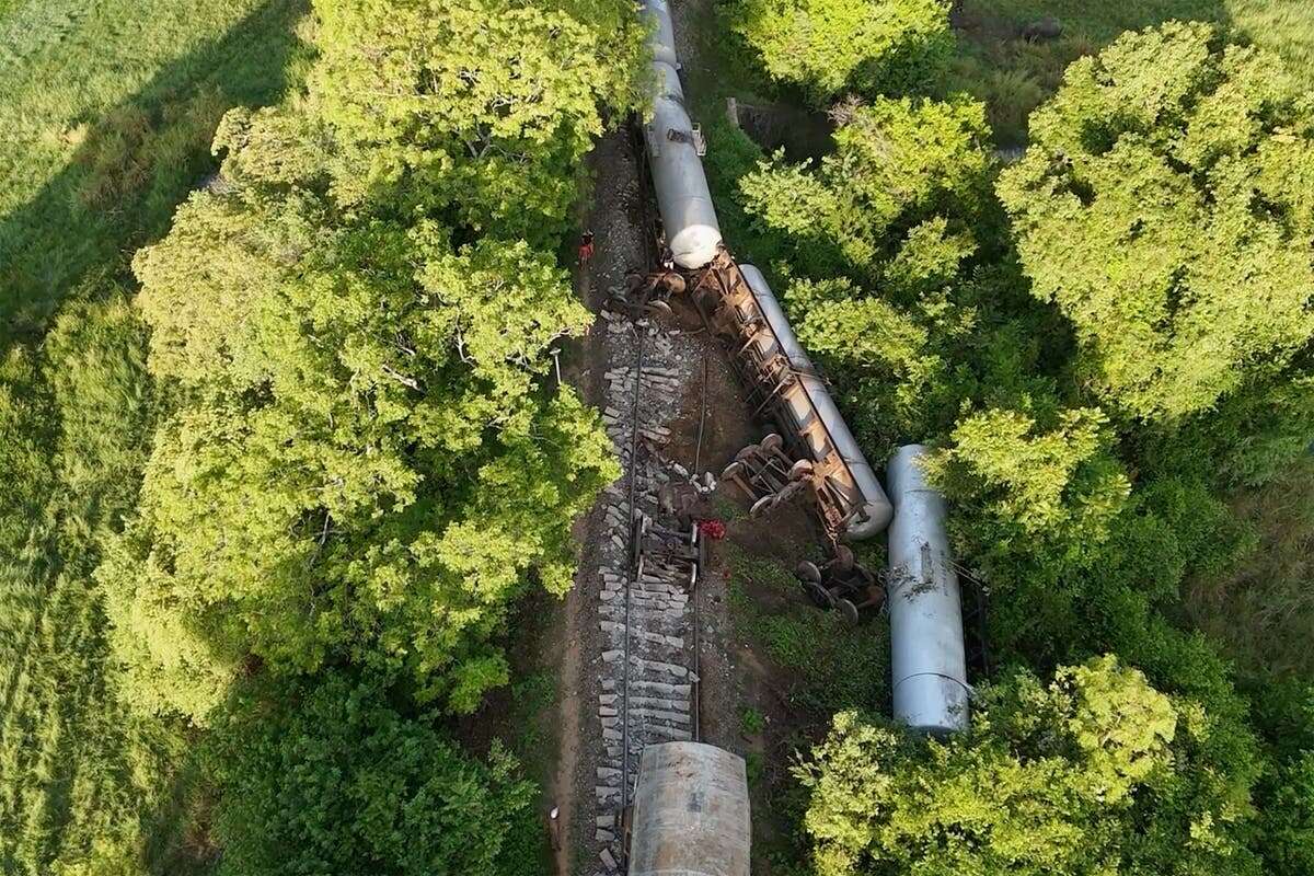 Two elephants killed in train crash as fuel tankers derailed