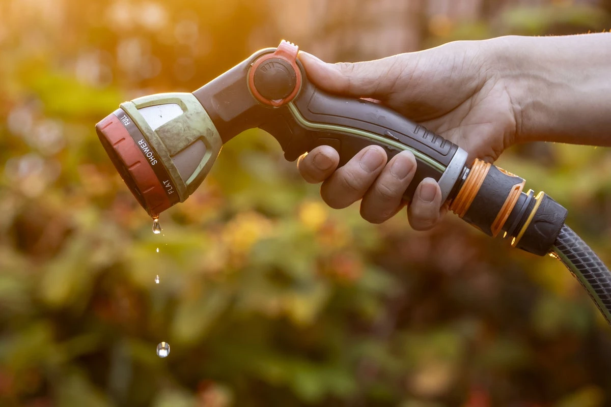 Water boss warns hosepipe ban could continue into 2026