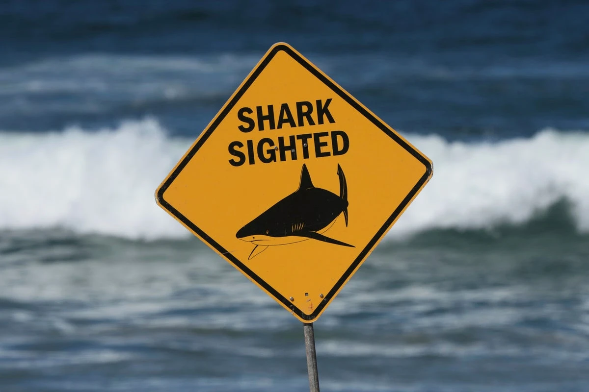 Man killed by shark at Great Barrier Reef in second Australia tragedy