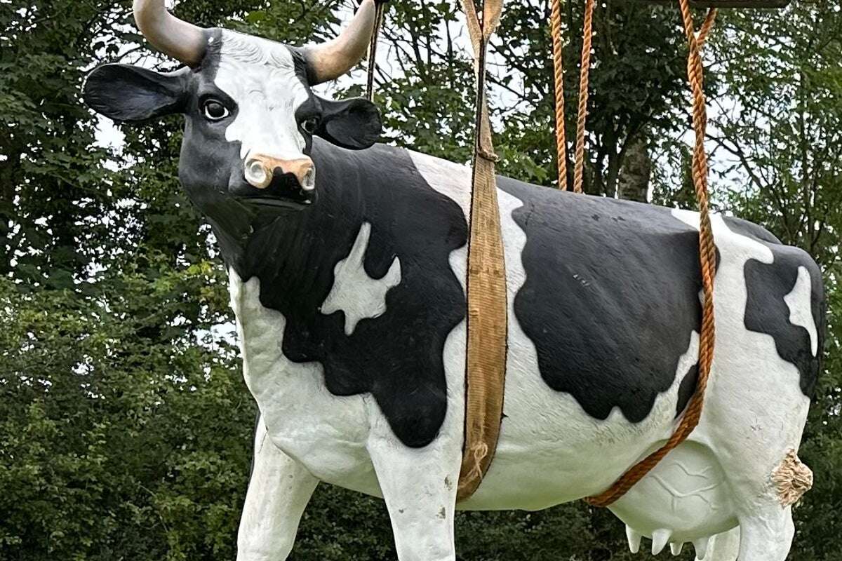 Life-sized plastic cow stolen from Yorkshire farm