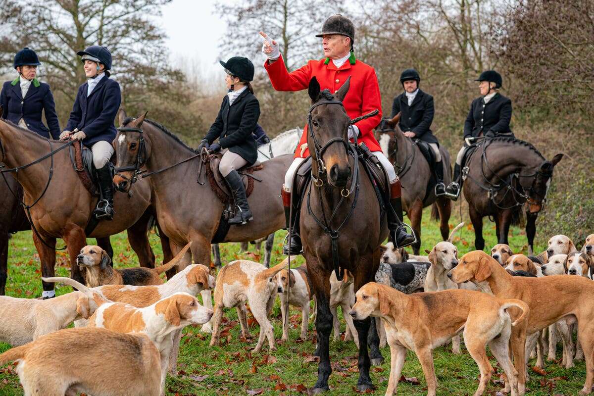 Fox hunters ‘to face tougher penalties under new plans’