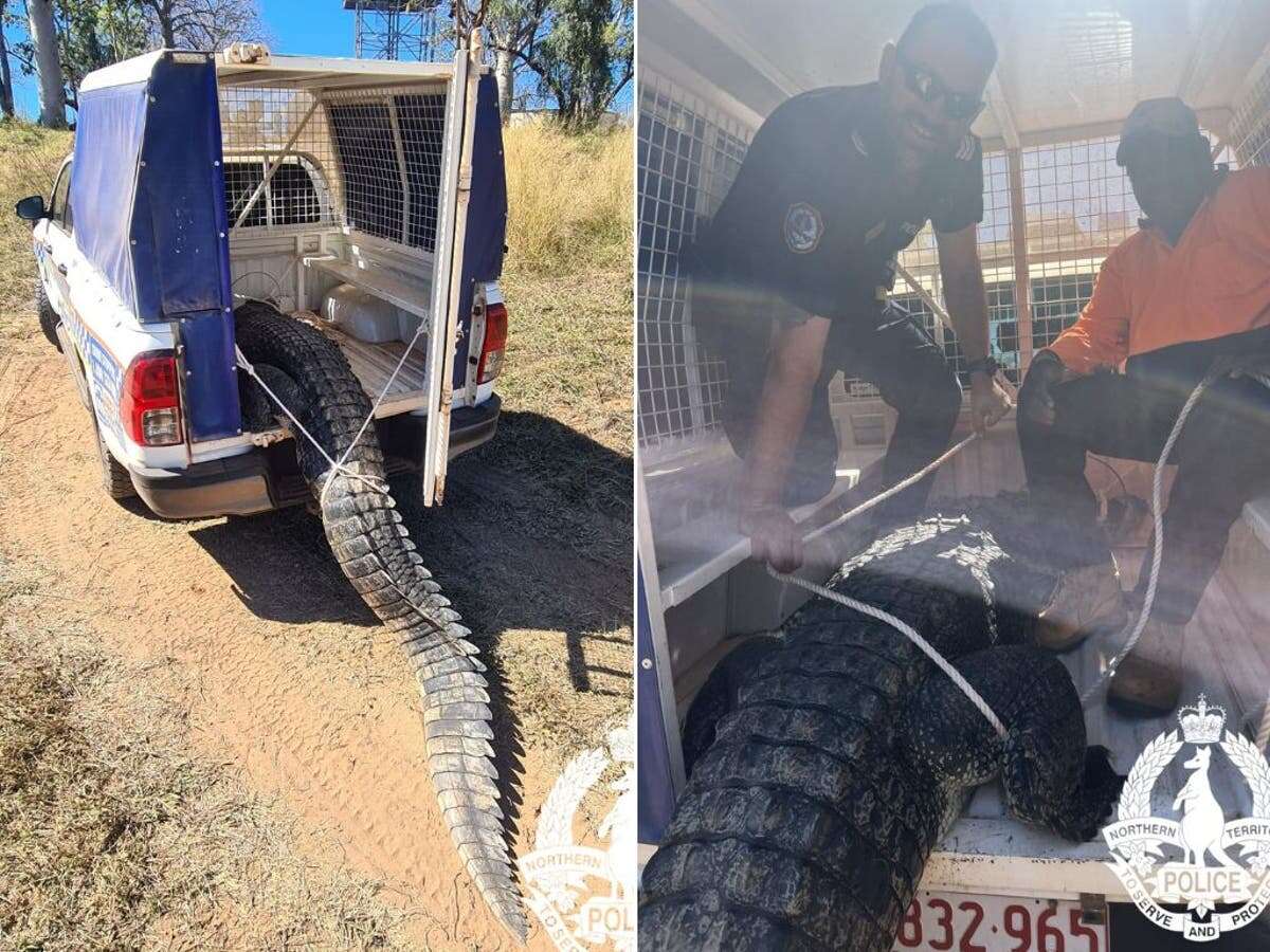 Villagers kill and eat giant crocodile which hunted their pets